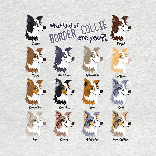 Border Collie Colors by DoggyGraphics